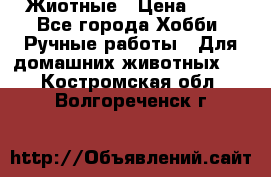 Жиотные › Цена ­ 50 - Все города Хобби. Ручные работы » Для домашних животных   . Костромская обл.,Волгореченск г.